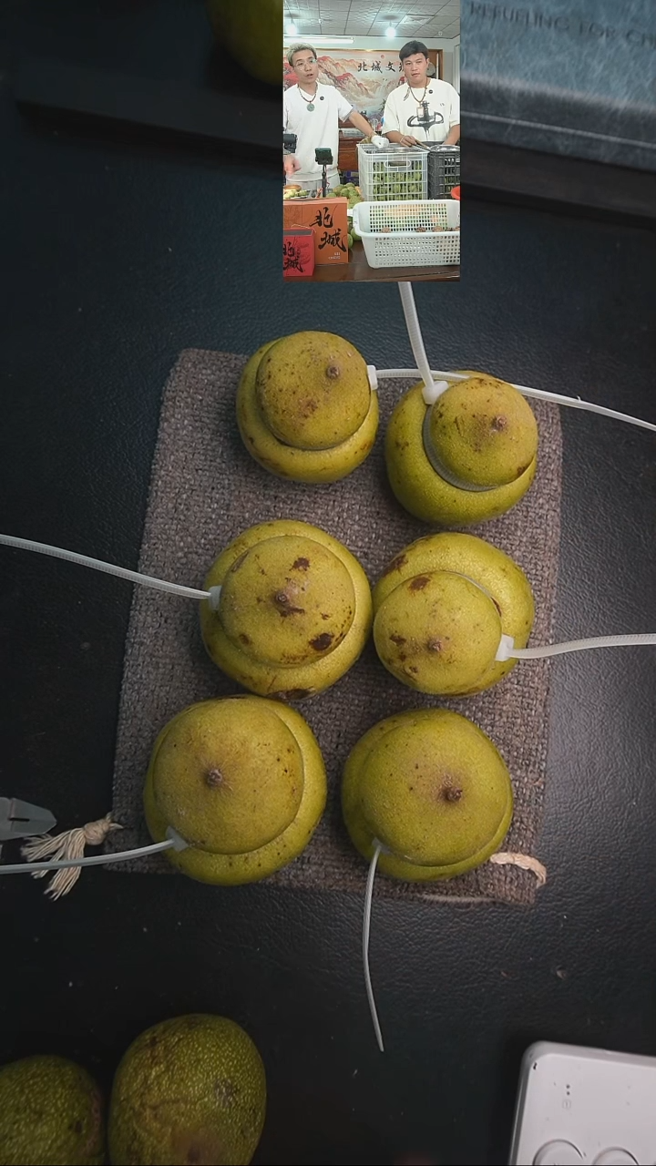 文玩核桃把件青皮官帽葫芦6个（售出不退不换）