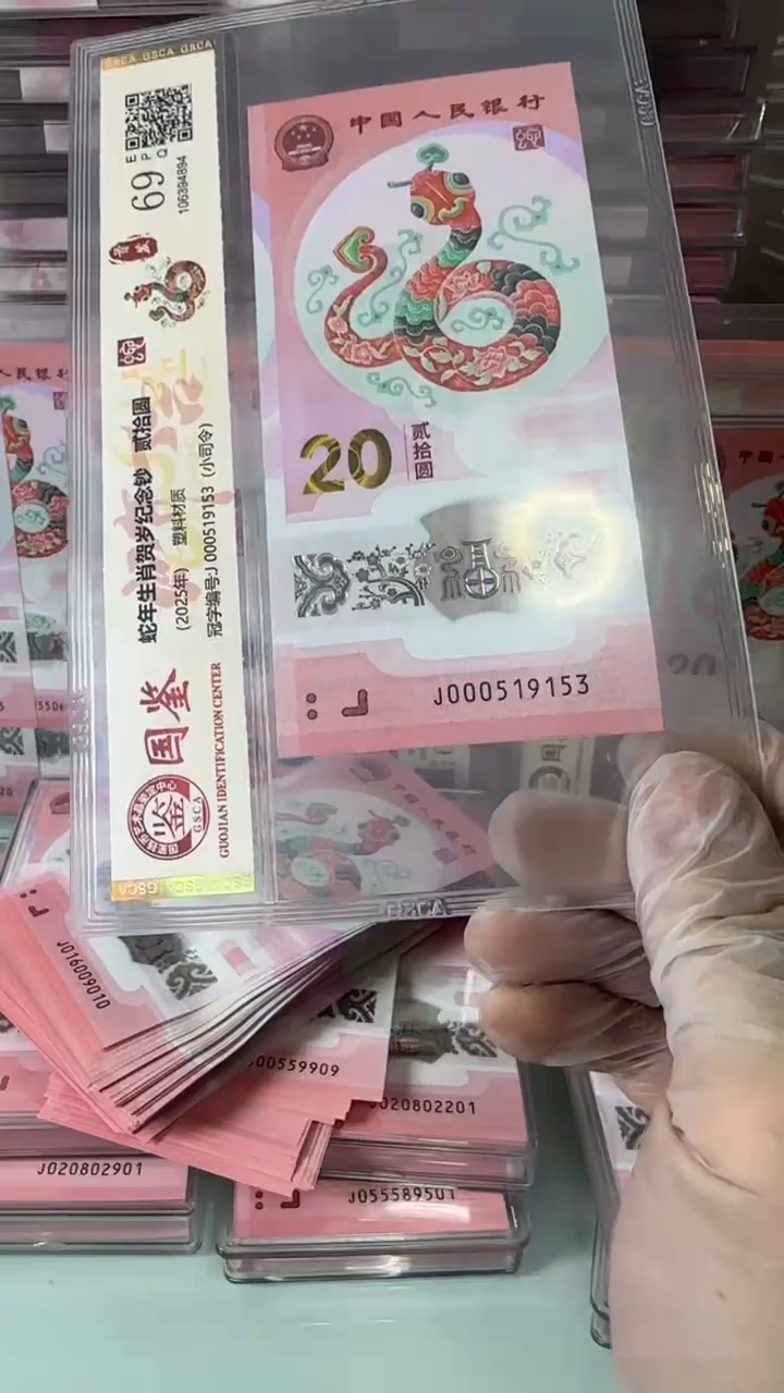 【闪购商品】塑料000519153-蛇钞单张！