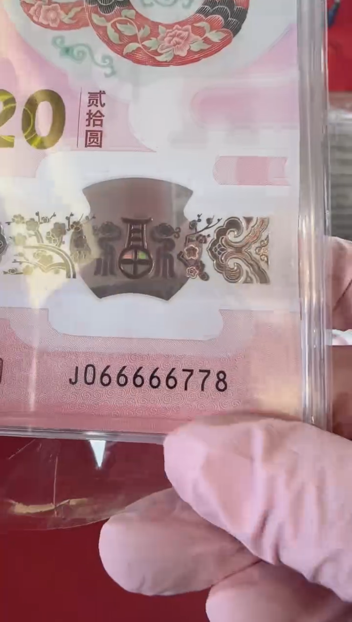 【闪购商品】塑料2025蛇钞单张裸啊啊啊啊啊