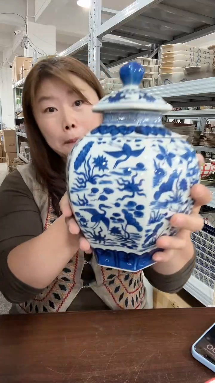 陶瓷青花手绘仙鹤将军罐