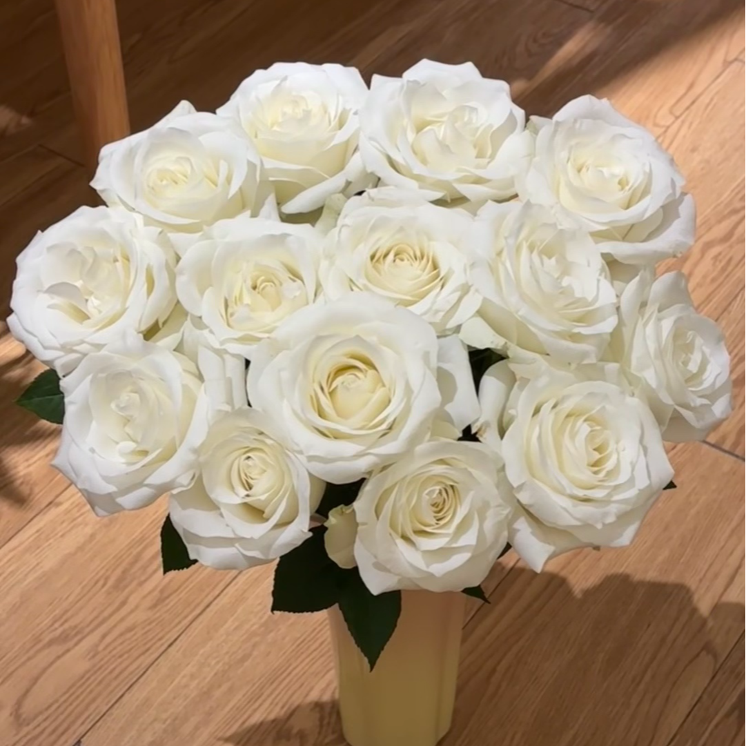 花木澜花卉—单头玫瑰骄傲十支