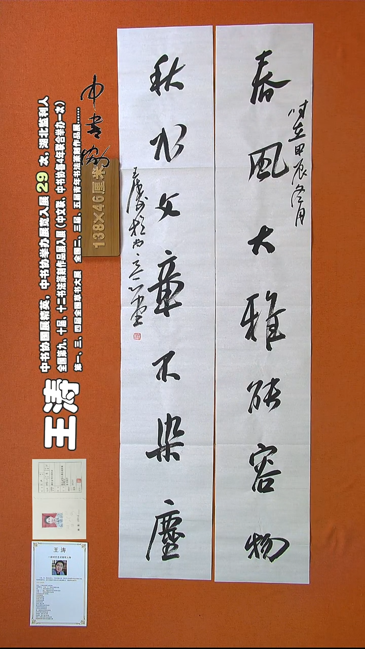 【闪购商品】书法323王涛书法作品
