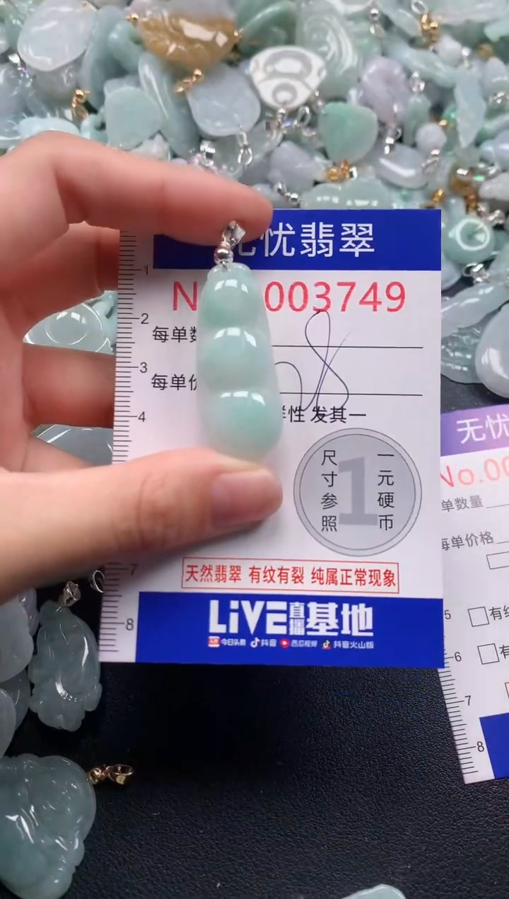 颈饰未镶嵌翡翠3749