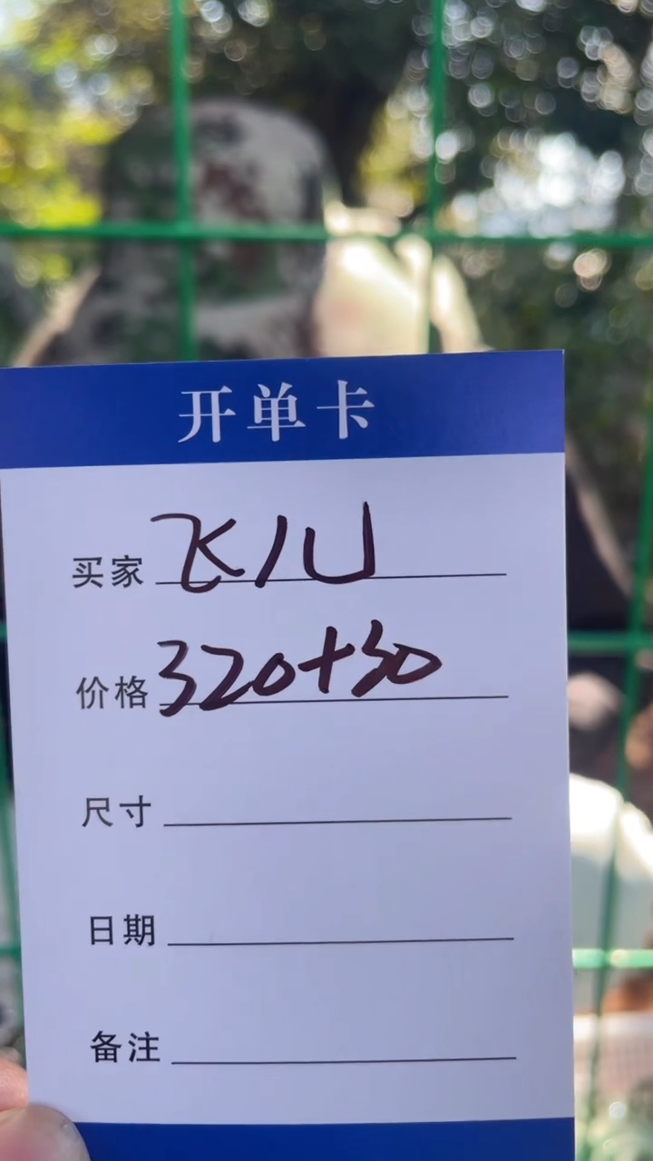 非金属无飞*手镯下单链接秒拍秒付