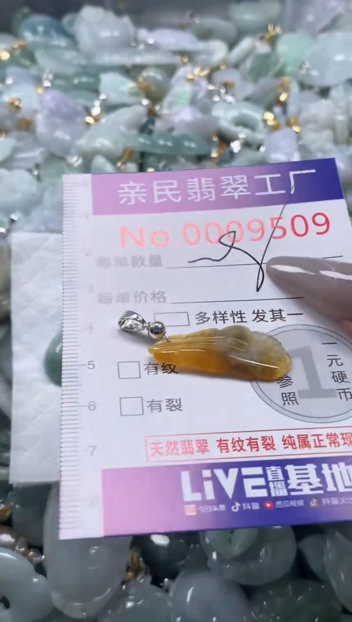 颈饰未镶嵌翡翠9509