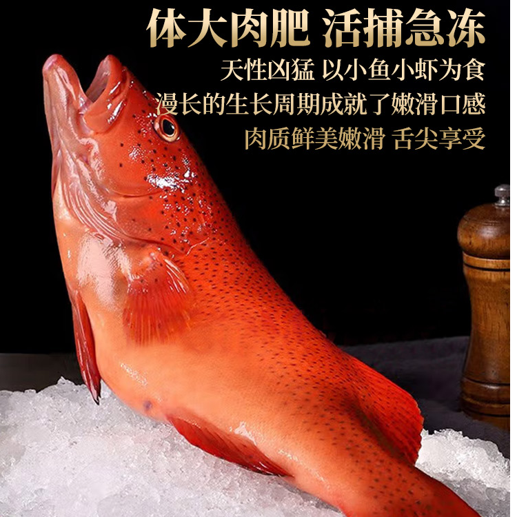 东星斑高端海鲜火锅套餐（人间烟火气）3-6人餐