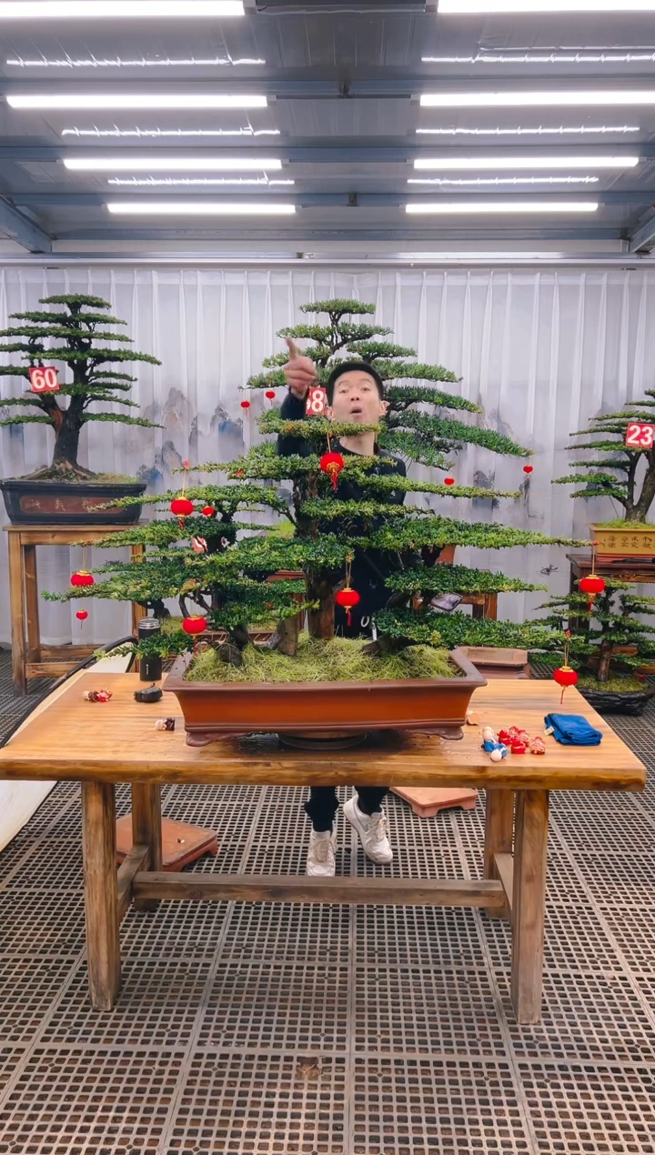【闪购商品】紫砂精品盆景直播间一物一拍