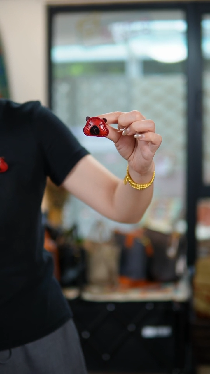 牛皮不退换！红色卡皮巴拉