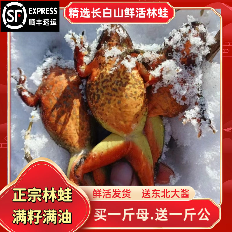 3东北林蛙（母）蛤蟆满籽满油【顺丰包邮】