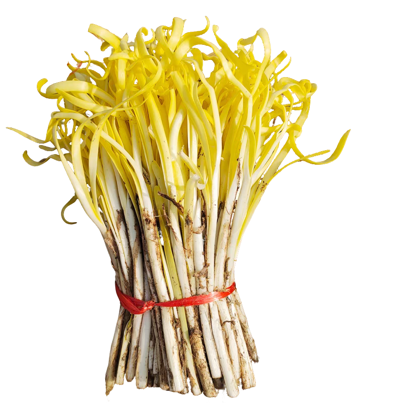 【年货韭黄】龚家湾本地韭黄约1斤/3斤