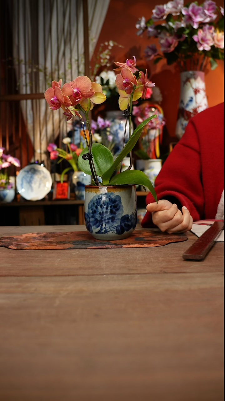 当代高温釉下彩手绘陶瓷餐具