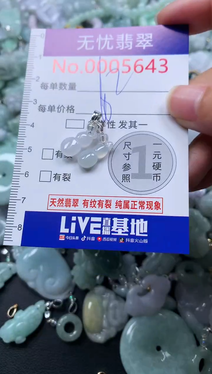 颈饰未镶嵌翡翠5643