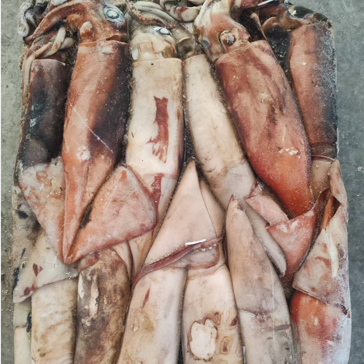 远洋捕捞 原板大鱿鱼大小不一原汁原墨介意勿拍 一条一斤左右