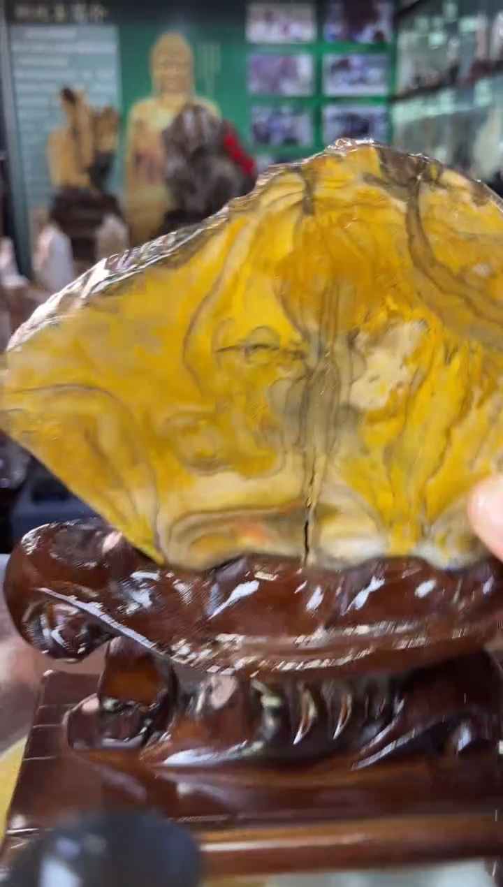 缅甸天然树化玉摆件精品