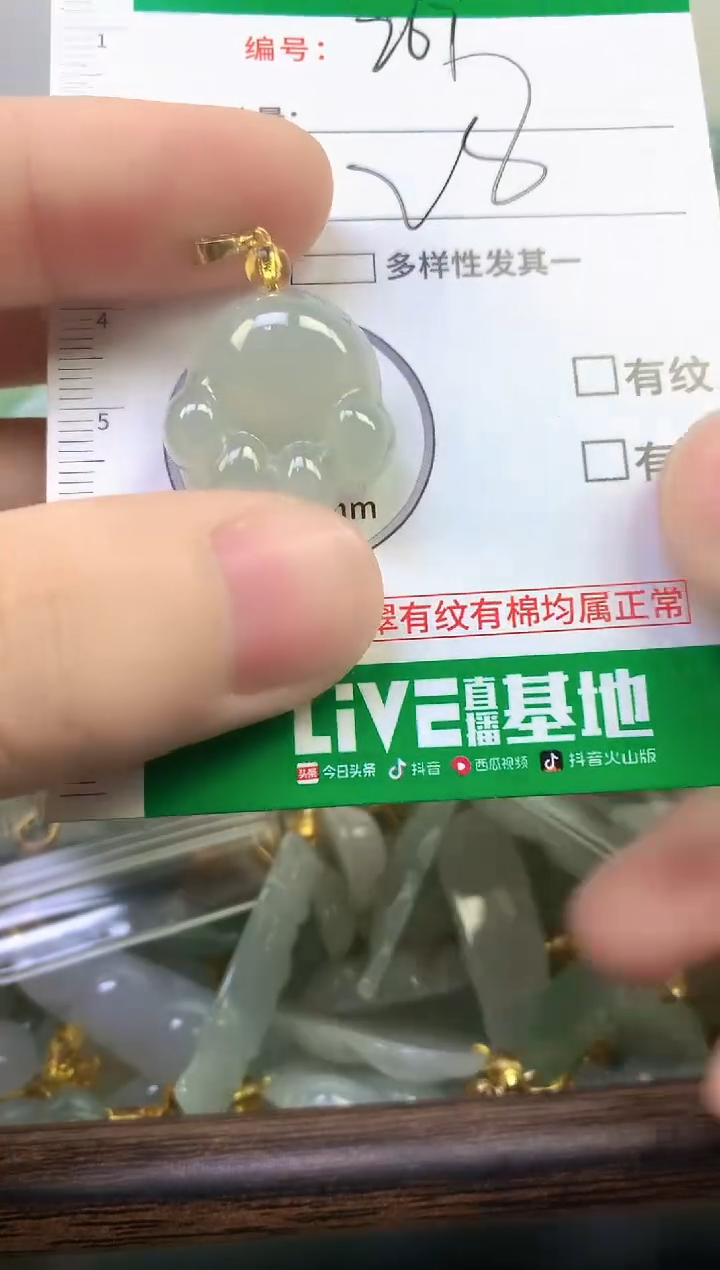 颈饰未镶嵌翡翠纯天然缅甸A货翡翠