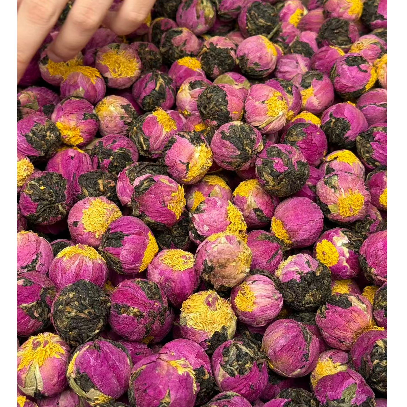2025年懂过牡丹花红茶龙珠 5月29-R07