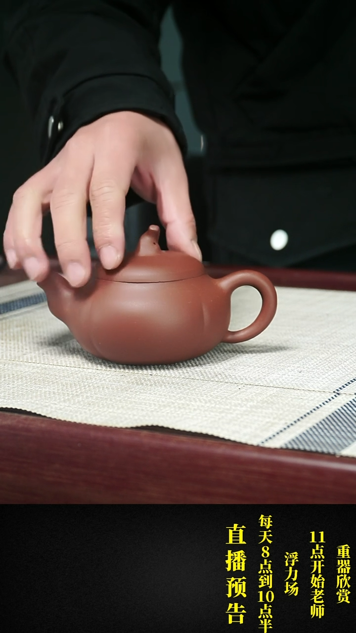 【闪购商品】紫砂茶壶闪购商品11