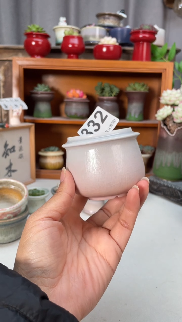 瓷片332知木小芳花盆