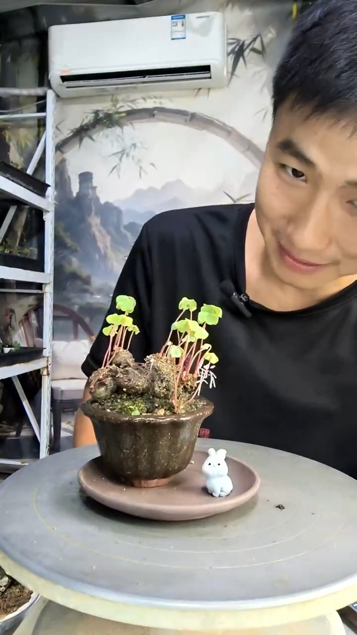 咸**泪中青园艺一物一拍31