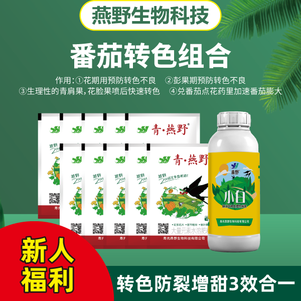 燕野番茄转色组合喷15-20桶水解决转色问题