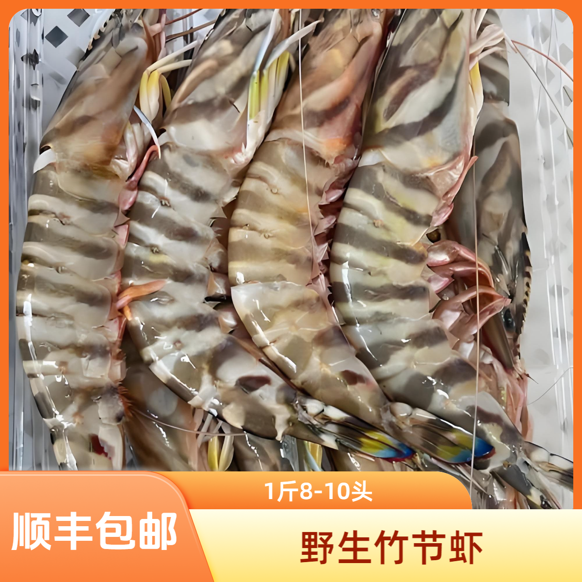 【舟山金豆荚】野生竹节虾1斤8-10头，两斤装 顺丰包邮 舟山发货