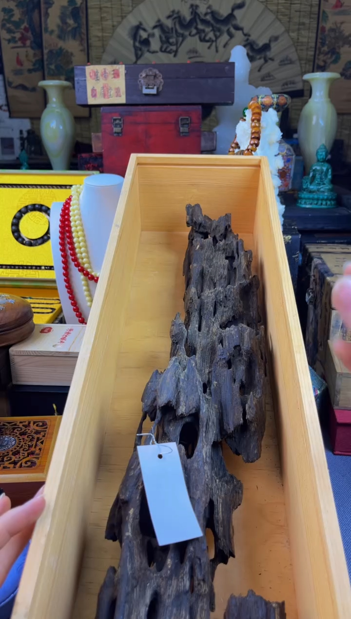 林氏直播精选推荐