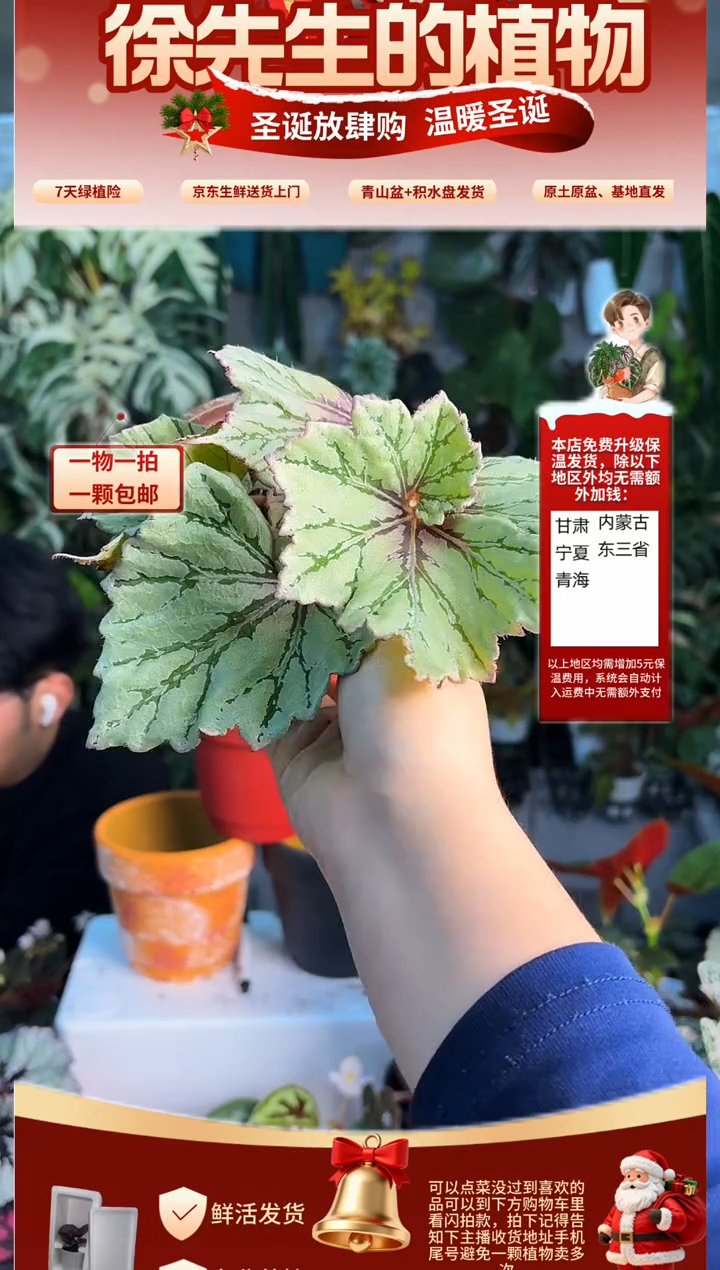 完全开放瓦西丽萨