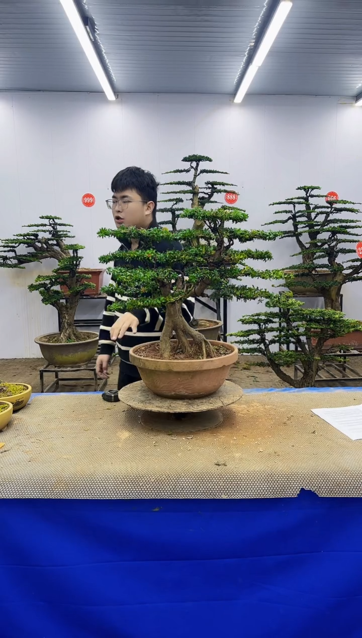 完全开放一物一拍，所见即所得