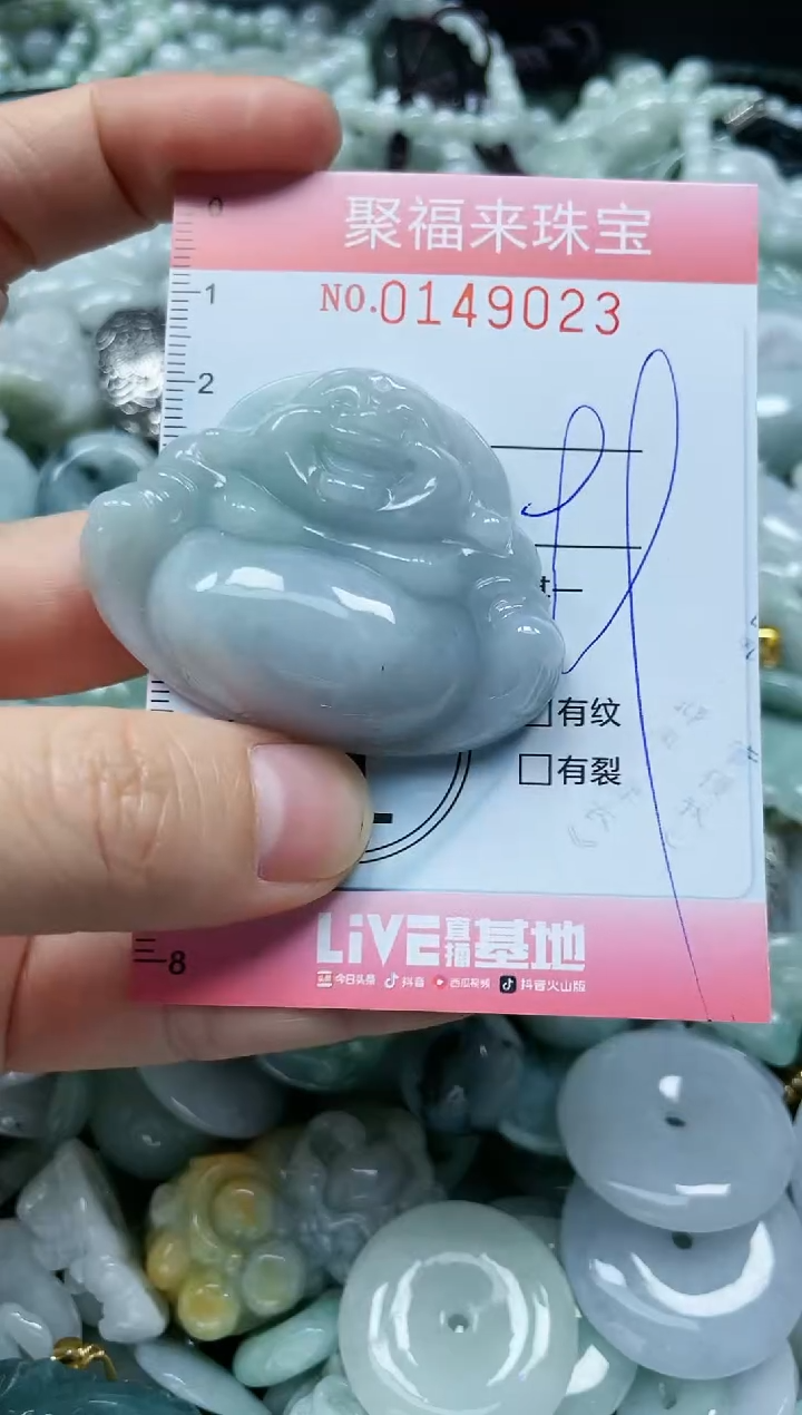 翡翠未镶嵌颈饰闪购0149023