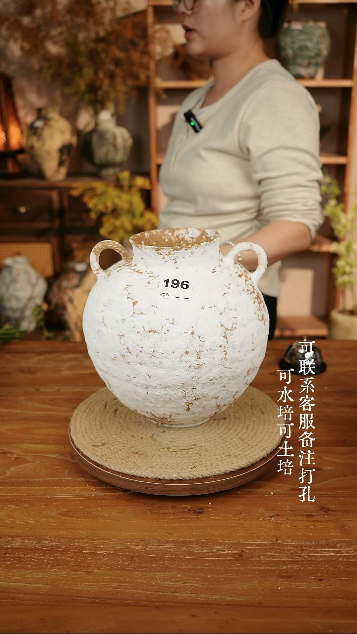 摆件陶196白色双耳大肚瓶可水培可土培
