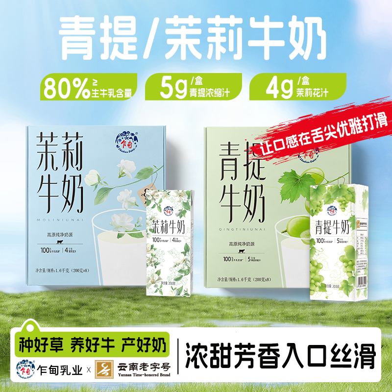 【乍甸】高原牧场青提牛奶/茉莉牛奶清爽奶香醇厚整箱批发