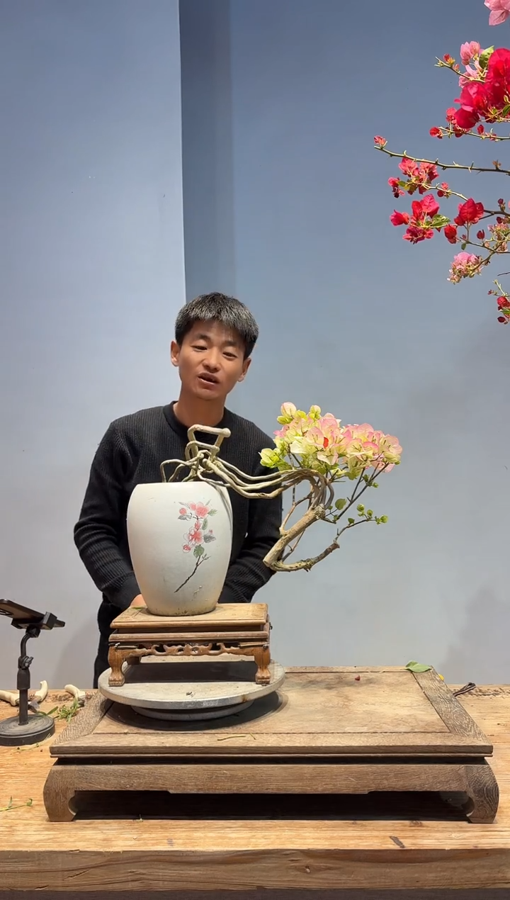 以实际为准三角梅60