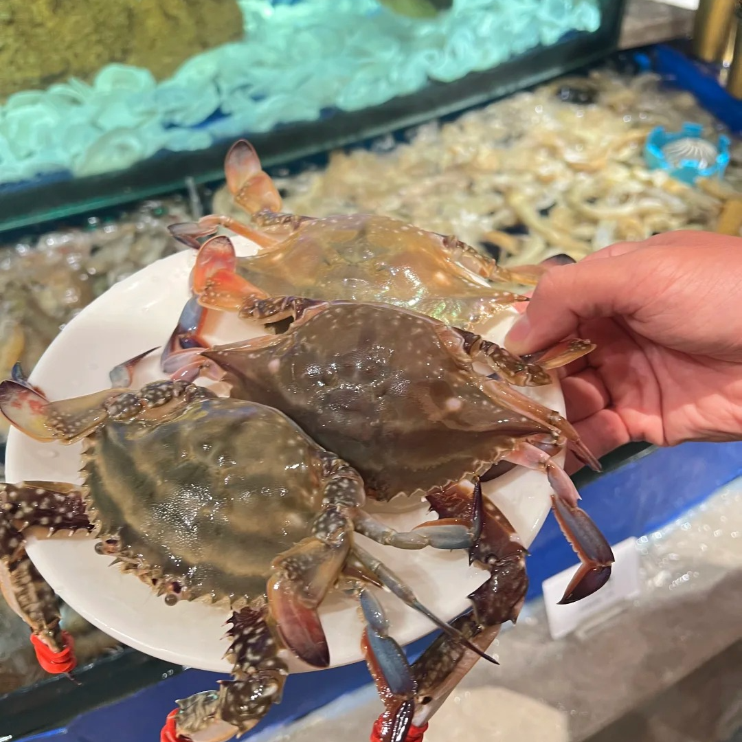 【鲜活梭子蟹】单只5-7两 每斤2只 充氧活发 海鲜 海蟹 梭子蟹 飞蟹 2-6斤规格可选北京同城闪送 【保鲜不保活】