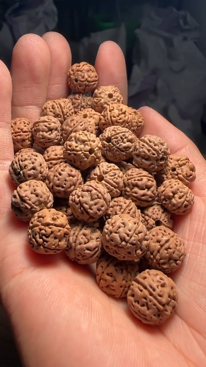 金刚菩提手串非全品老树王散籽13-14mm一份一百颗