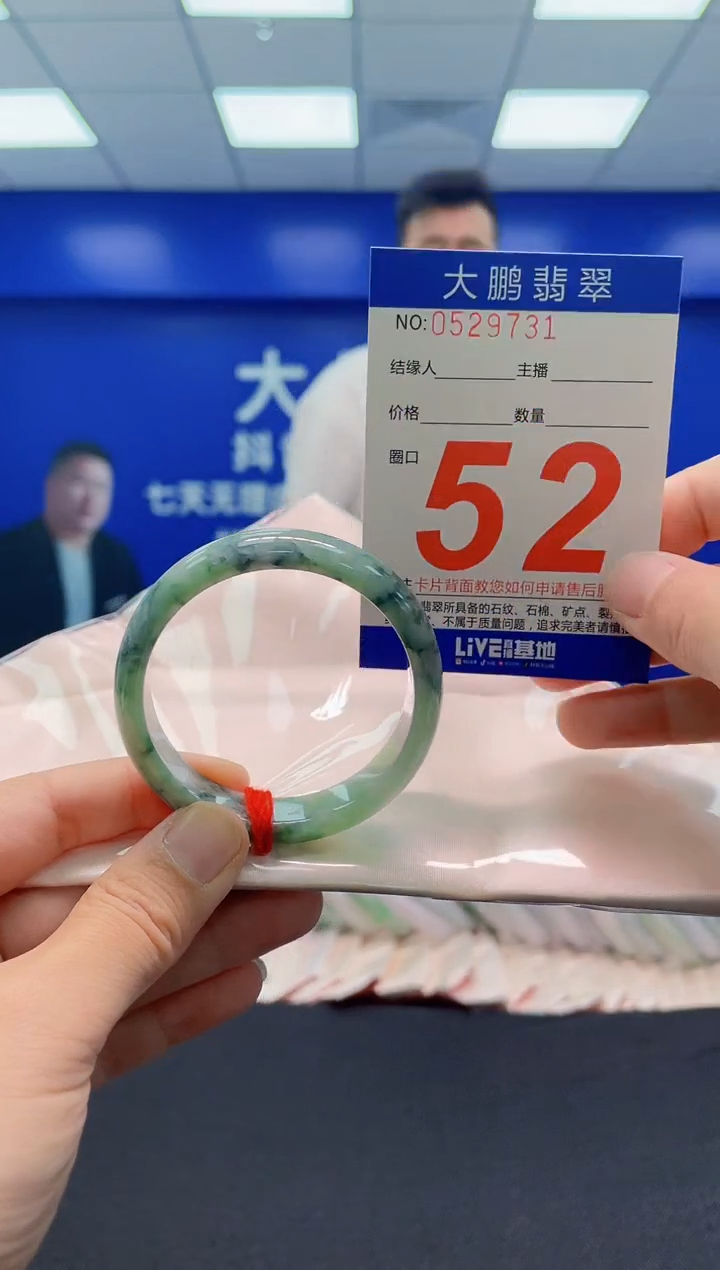 未镶嵌手镯翡翠AAAAAAAAA