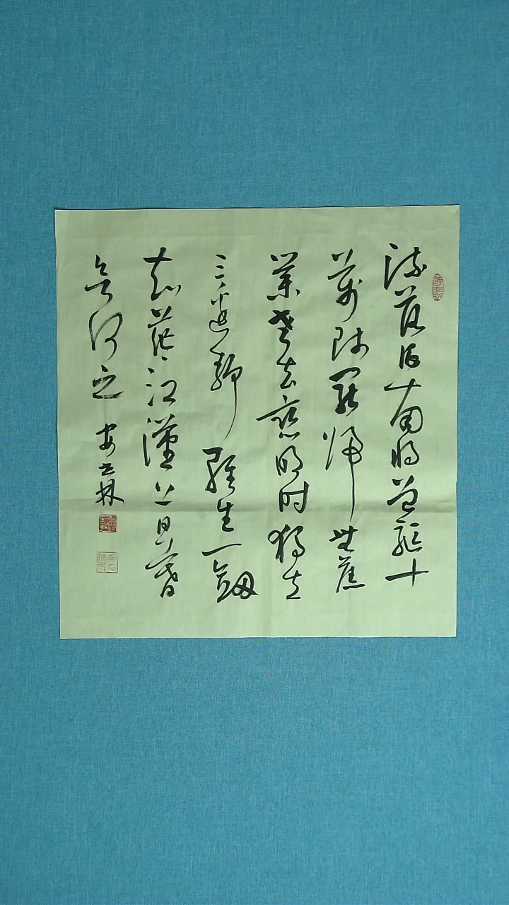 【闪购商品】书法227 甘肃安石林中书协45*45