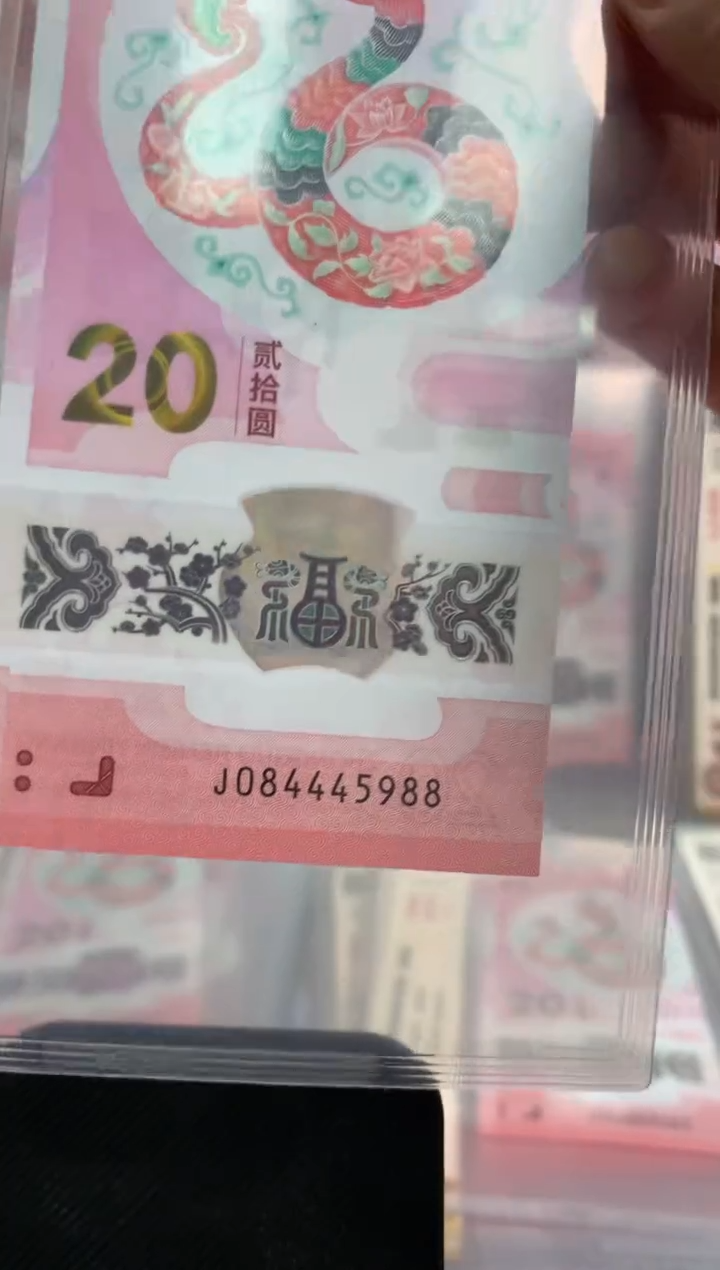 【闪购商品】塑料蛇钞 真钞【单张】5988