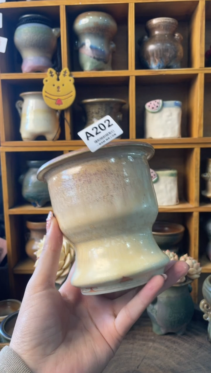 202内口9【多肉花盆多肉盆】