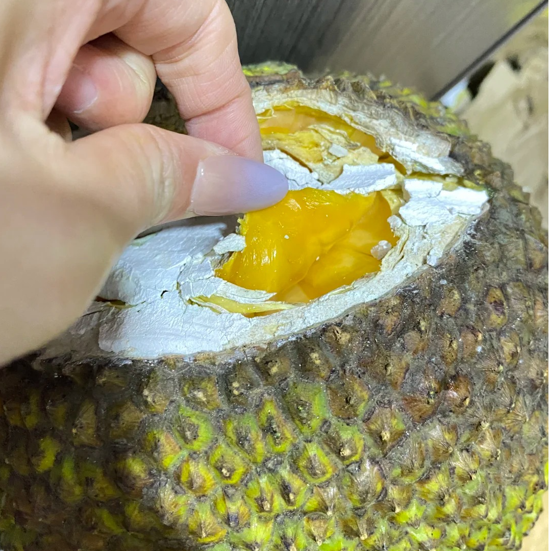 越南菠萝蜜整果一粒新鲜水果6-10斤，放熟在切，生切无售后越南