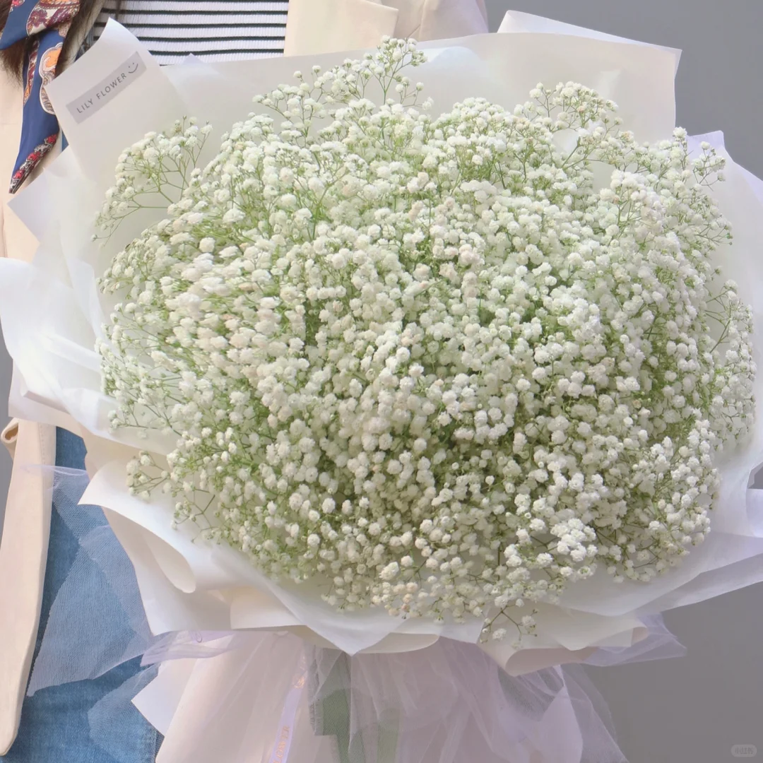 【白色满天星】一单也包邮 两单加品牌营养液5包  云南基地直发鲜花