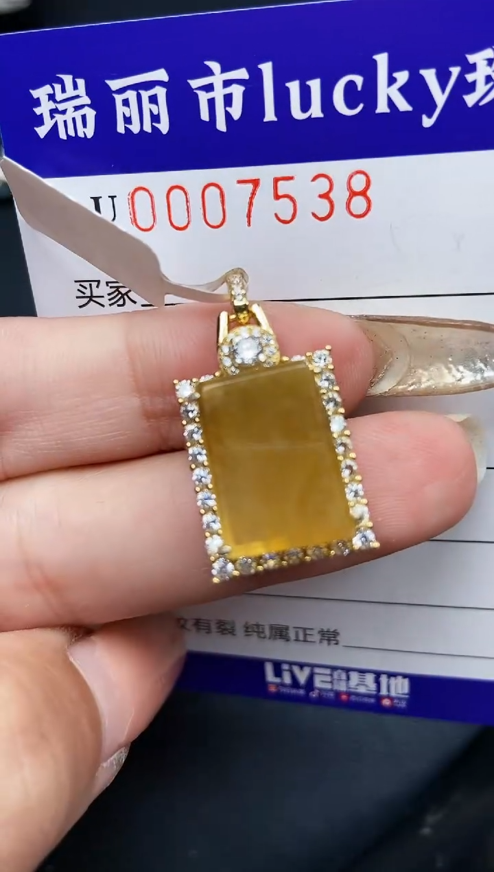 【闪购商品】翡翠颈饰银S925镶嵌7538