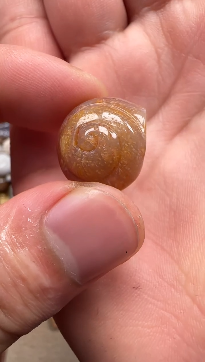 【闪购商品】硅化珊瑚（珊瑚玉）颈饰未镶嵌457