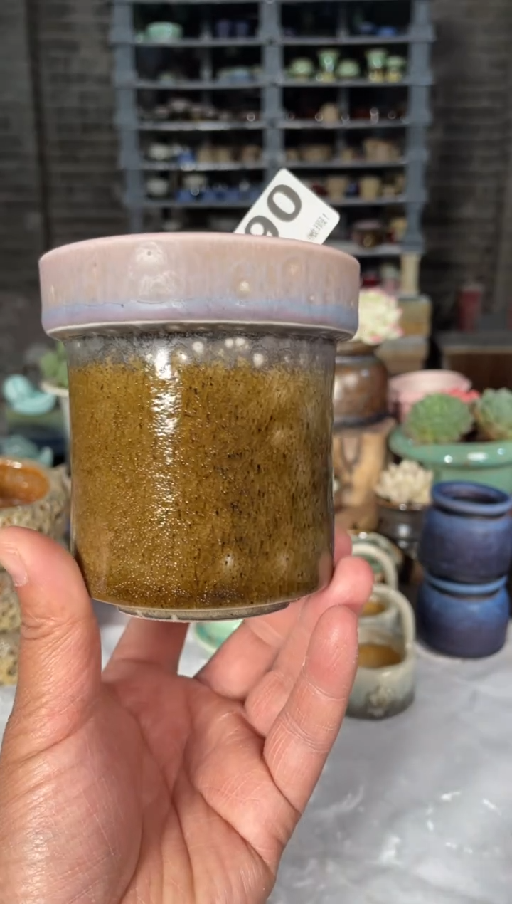 瓷片490小芳直播编号