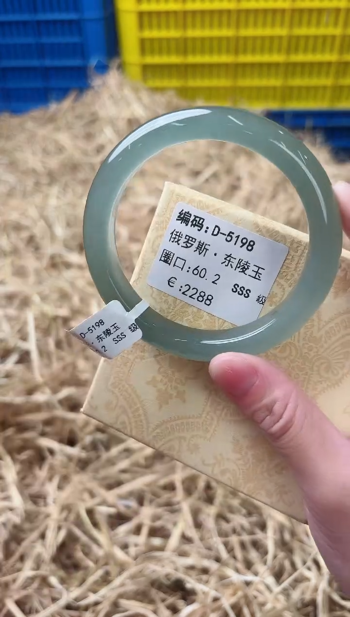 未镶嵌手镯石英质玉D-5198
