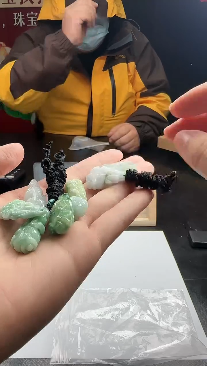 颈饰未镶嵌翡翠51470（多样性发其一）