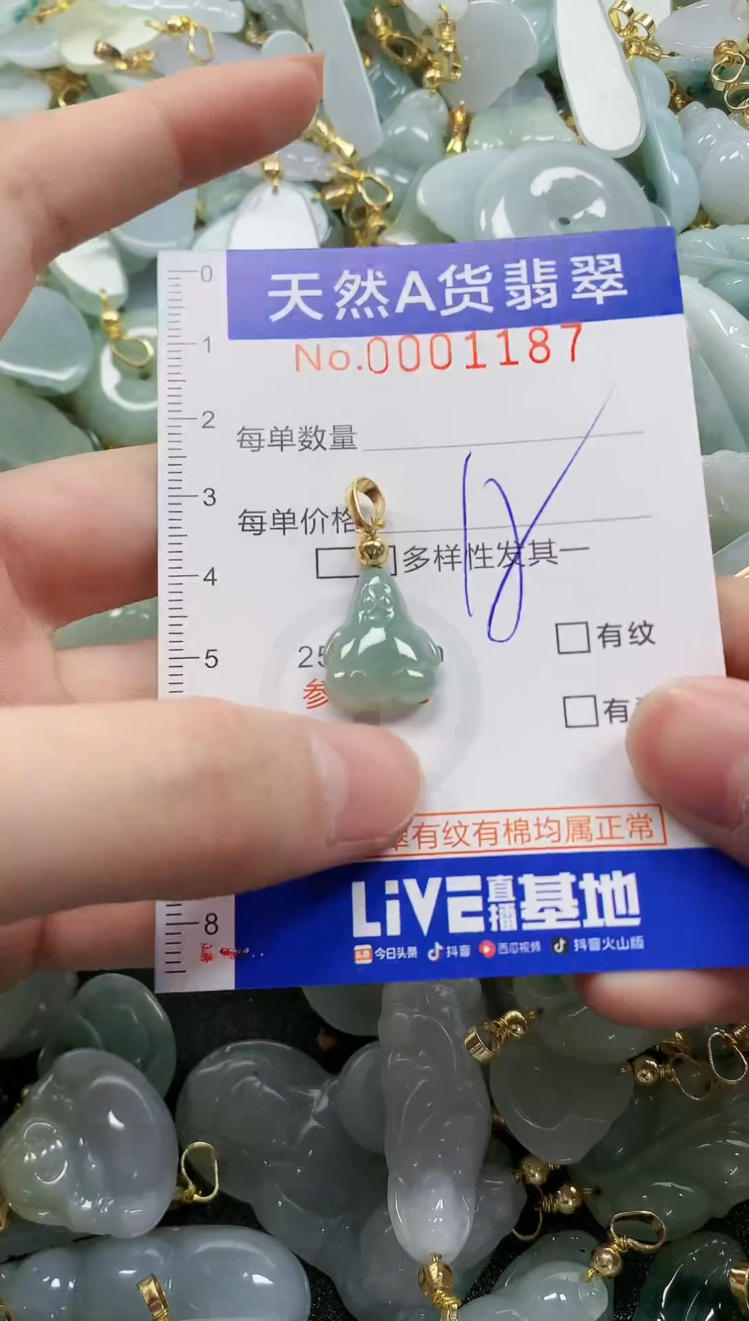 颈饰未镶嵌翡翠纯天然a货翡翠