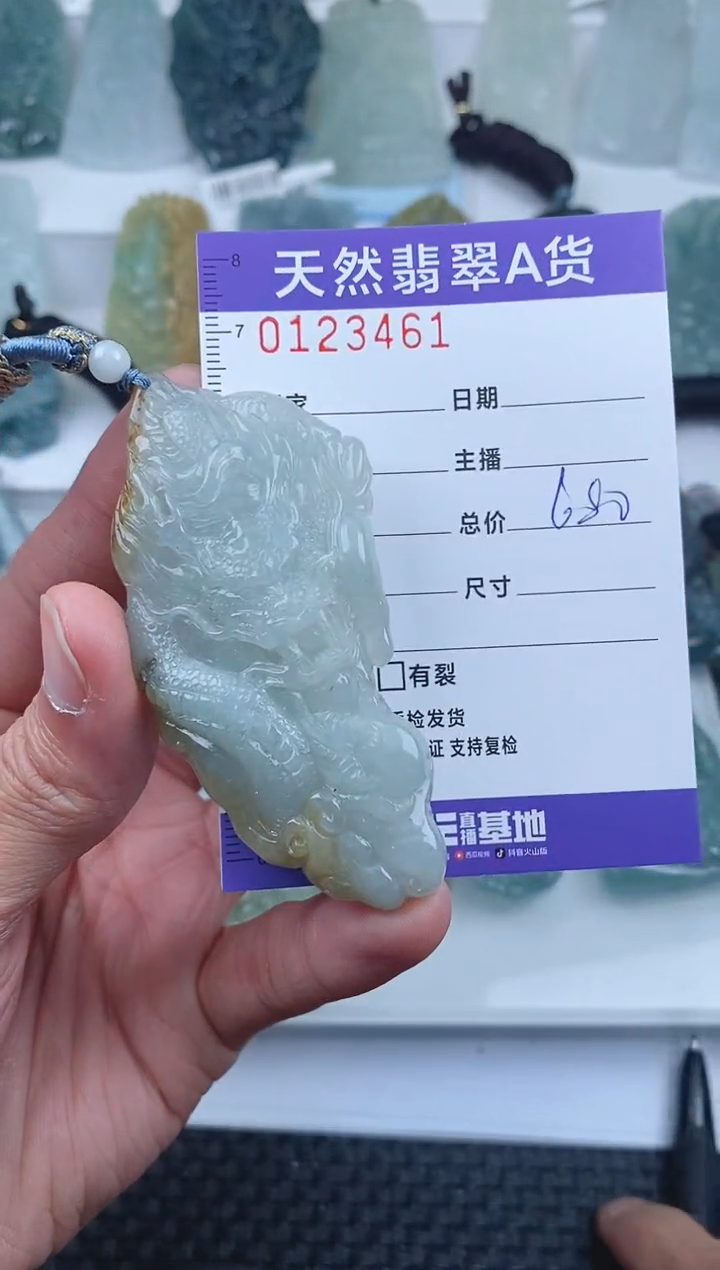 【闪购商品】翡翠颈饰未镶嵌        461