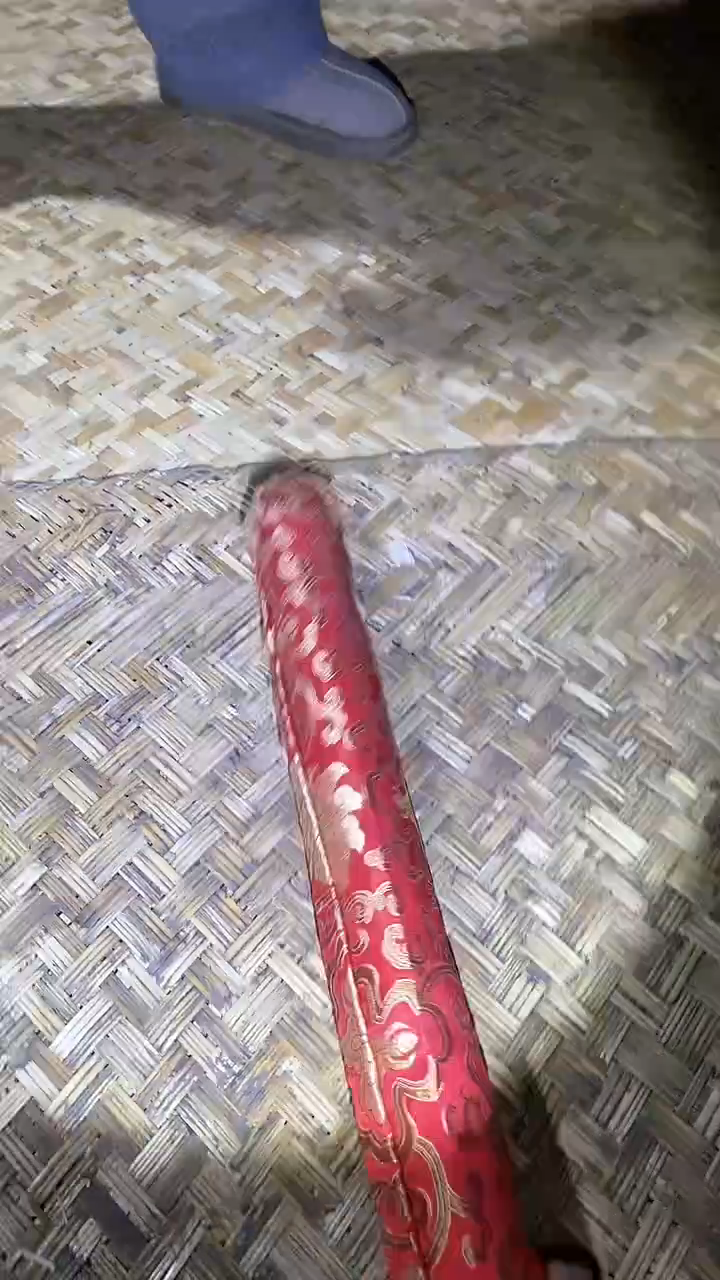 【闪购商品】贝壳手串/手链42啊啊啊啊啊啊啊啊啊啊啊阿