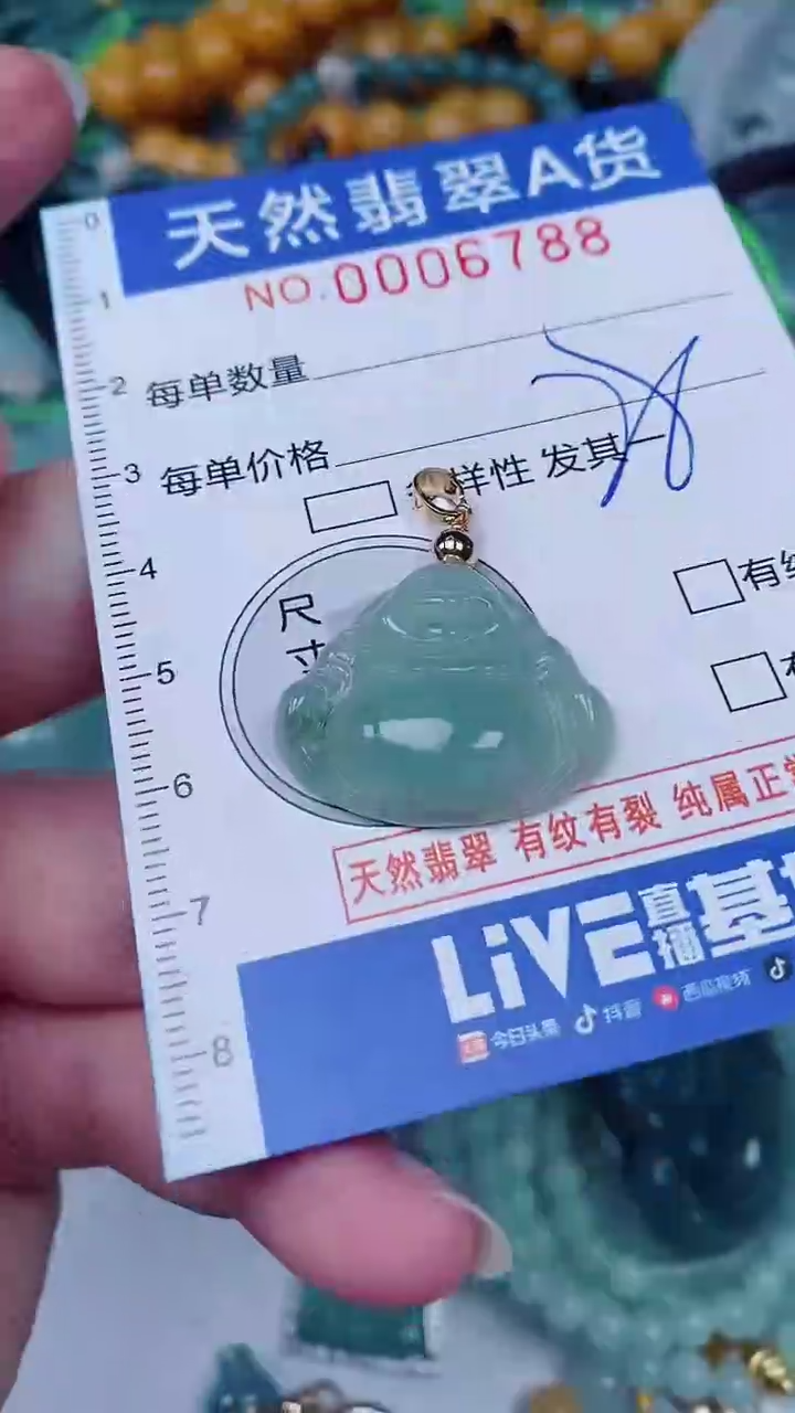 翡翠未镶嵌颈饰00006788