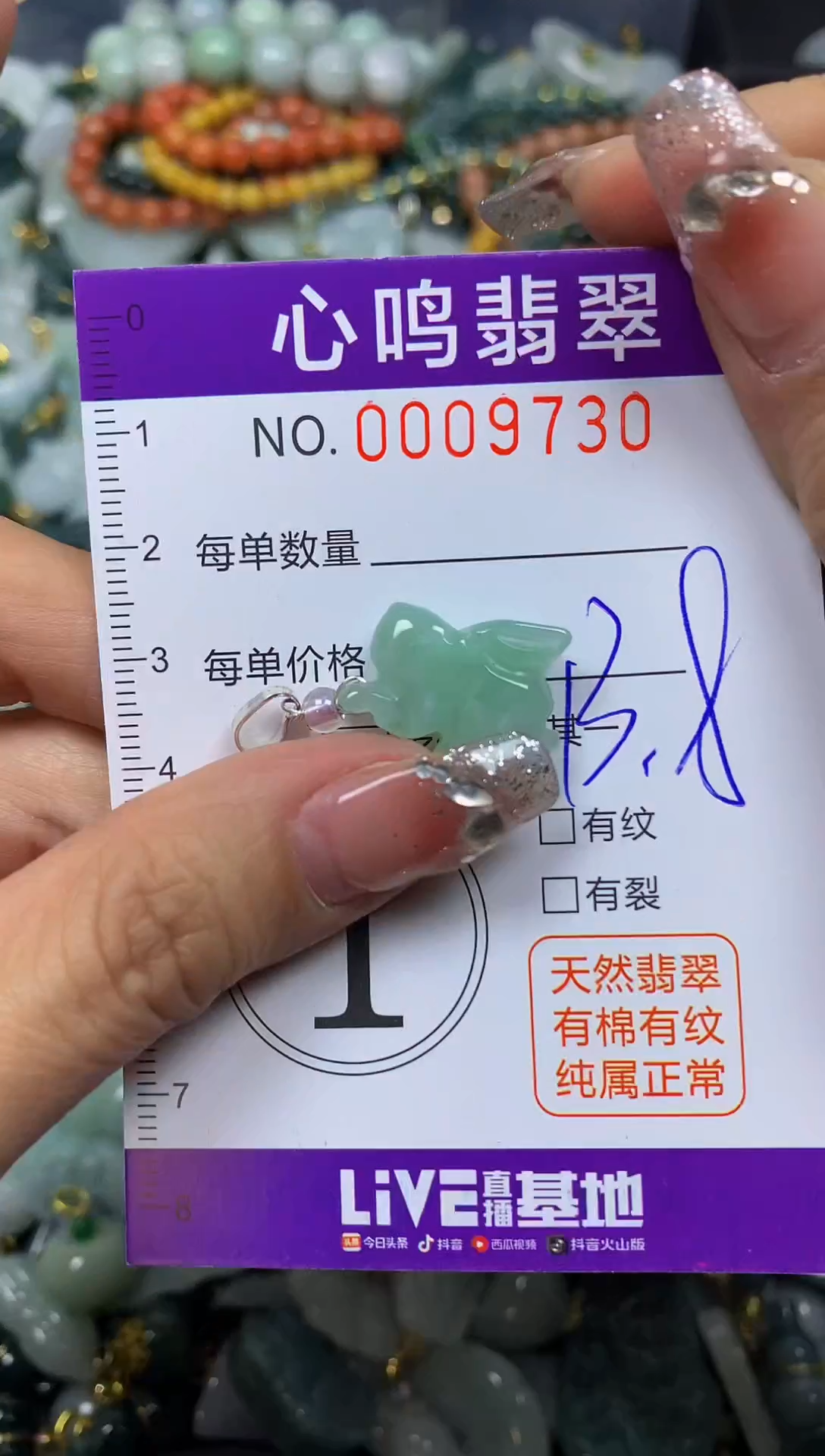 【闪购商品】翡翠颈饰未镶嵌闪购009730